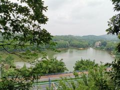 -天鹿湖森林公园