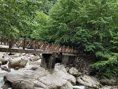 -青峰峡国家森林公园