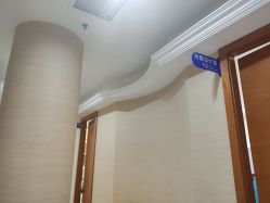 -碧莲盛·不剃发植发