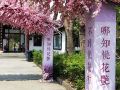 -南汇桃花村