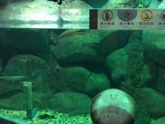 -苏州海洋馆