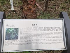 -桤木河湿地公园