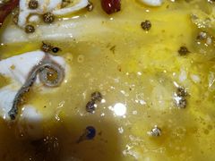 -青花椒花椒鱼(合生汇店)