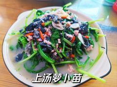 -罗浮山·罗园农庄