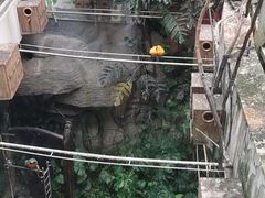 -南昌动物园