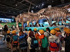 -国家自然博物馆