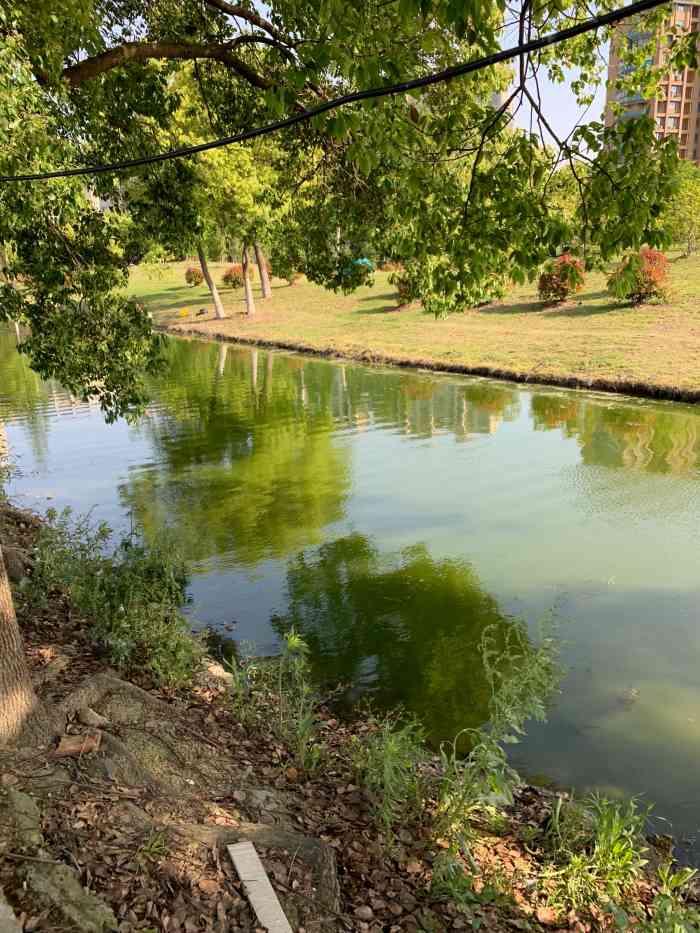 黄泥山遗址-"每年一次来这里,风景不错四面环水,地理位.