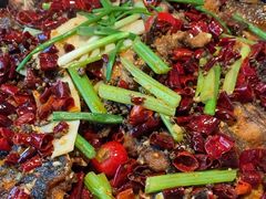 -老板恋上鱼(恒隆广场店)