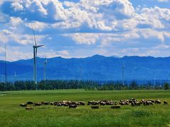 -野鸭湖国家湿地公园