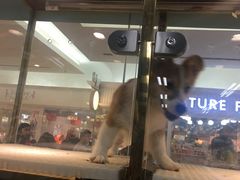 -乐宠宠物店(世纪金源店)