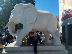 -石家庄市动物园