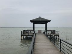 -莲花岛景区