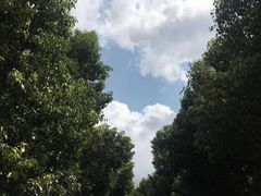 -安飞驰驾校·学车连锁(金高店)