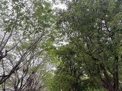 -东莞植物园