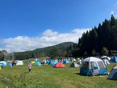 -武陵山森林公园
