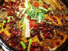 -老板恋上鱼(高新万达店)
