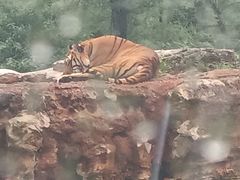 -秦皇岛野生动物园