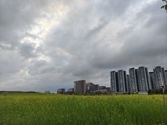 -光明小镇欢乐田园