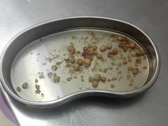 -萌兽医馆·绝育·24小时内科·宠物医院(德胜店)