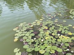 -朱仙镇启封故园景区