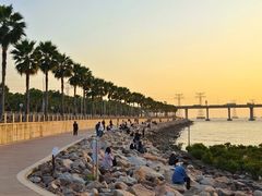 -宝安西湾红树林湿地公园