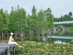 -白鹭湾湿地公园