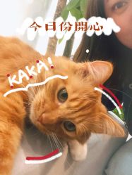 -Rena nail 美甲美睫私人定制
