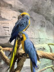 -Zoolung Zoolung动物主题公园(海信广场店)