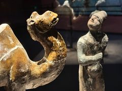 -大同市博物馆
