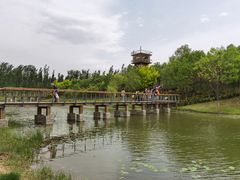 -东郊湿地公园