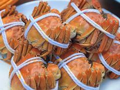 -品鲜村农家菜·阳澄湖大闸蟹(总店)