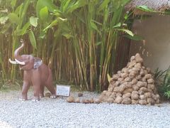 -大象粑粑造纸公园
