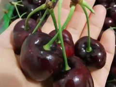 -唐桥水果批发市场