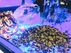 -长沙北辰洲际酒店-兰调全日餐厅