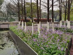 -月湖风景区