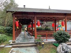 -咸宁万豪温泉谷度假区