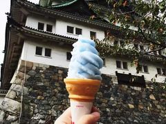 -名古屋城