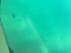 -亚龙湾海底世界