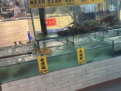-寻味顺德·南记酒家·传统顺德菜·鱼生(广源路店)