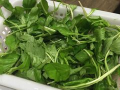 -正能量脆肉鲩火锅
