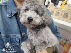 -天时宠物医院24小时疑难病例会诊中心(顾乡大街总院)