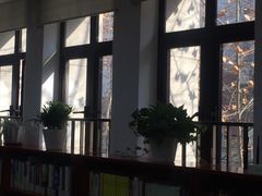 -上海市静安区图书馆(新闸路馆)