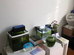 -北京观赏动物医院·24小时大型综合·猫专科·异宠专科