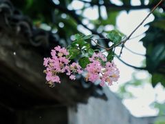 -黎里古镇
