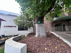 -J Create城市露营咖啡·简餐·宠物(上海动物园店)