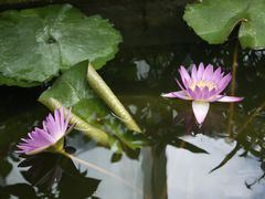 -国家植物园南园