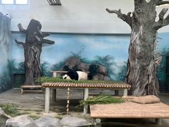 -苏州太湖国家湿地公园