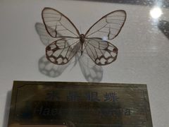 -上海昆虫博物馆