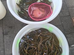 -铜元老码头鳝鱼火锅