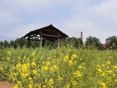 -西海岸生态观光园